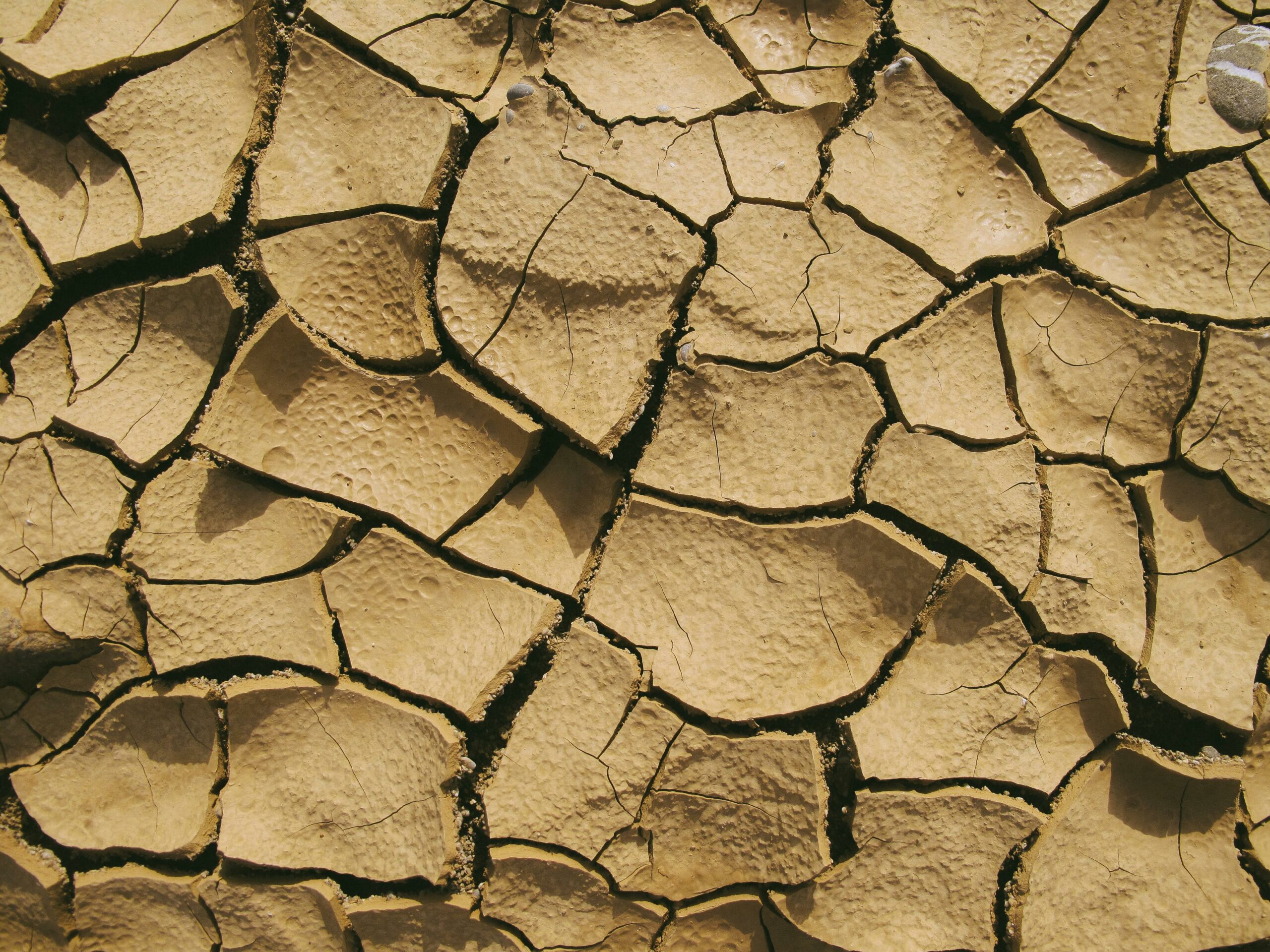 Humidité - Expansion - Fissures - Maisons - Immeuble - Argile - RGA